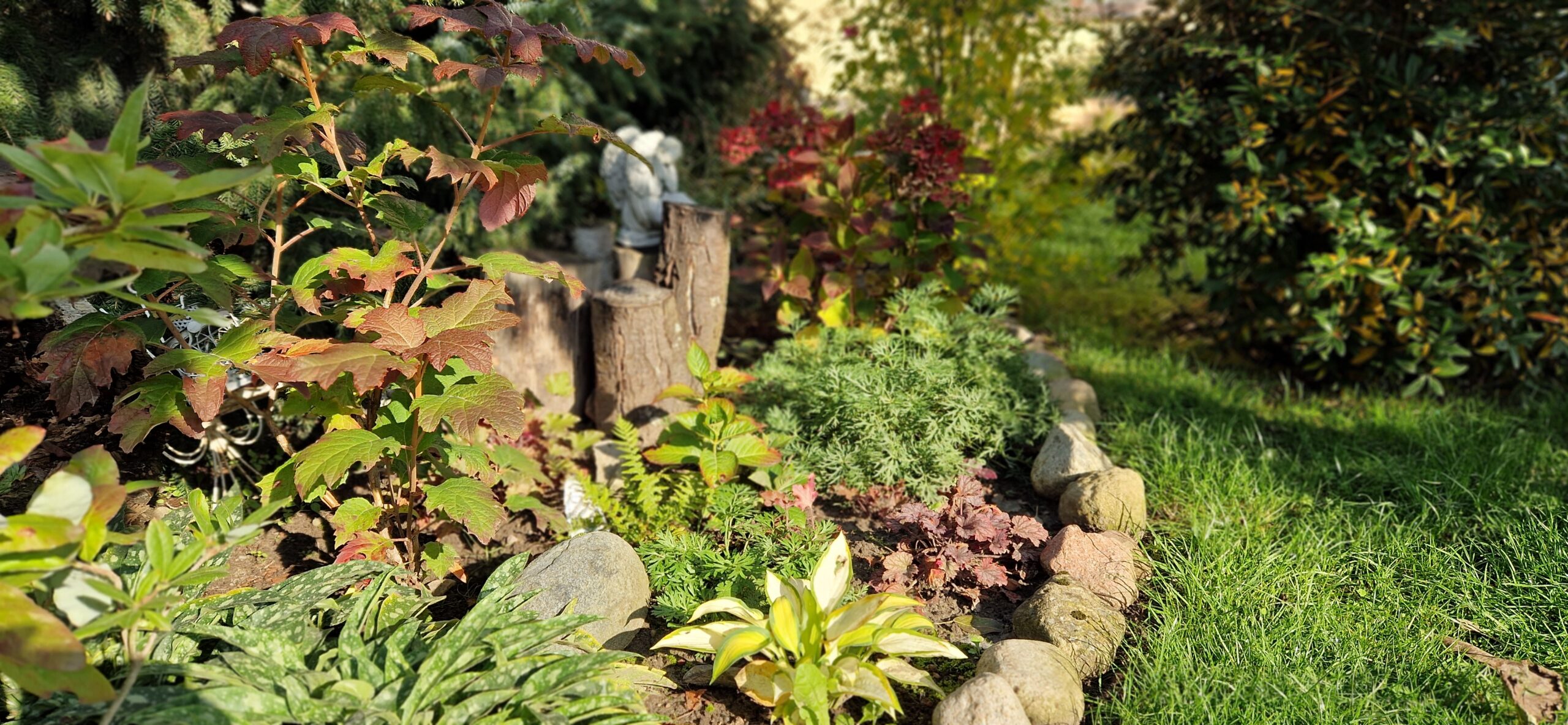 Rośliny do cienia. Zakątek z dębowym konarem