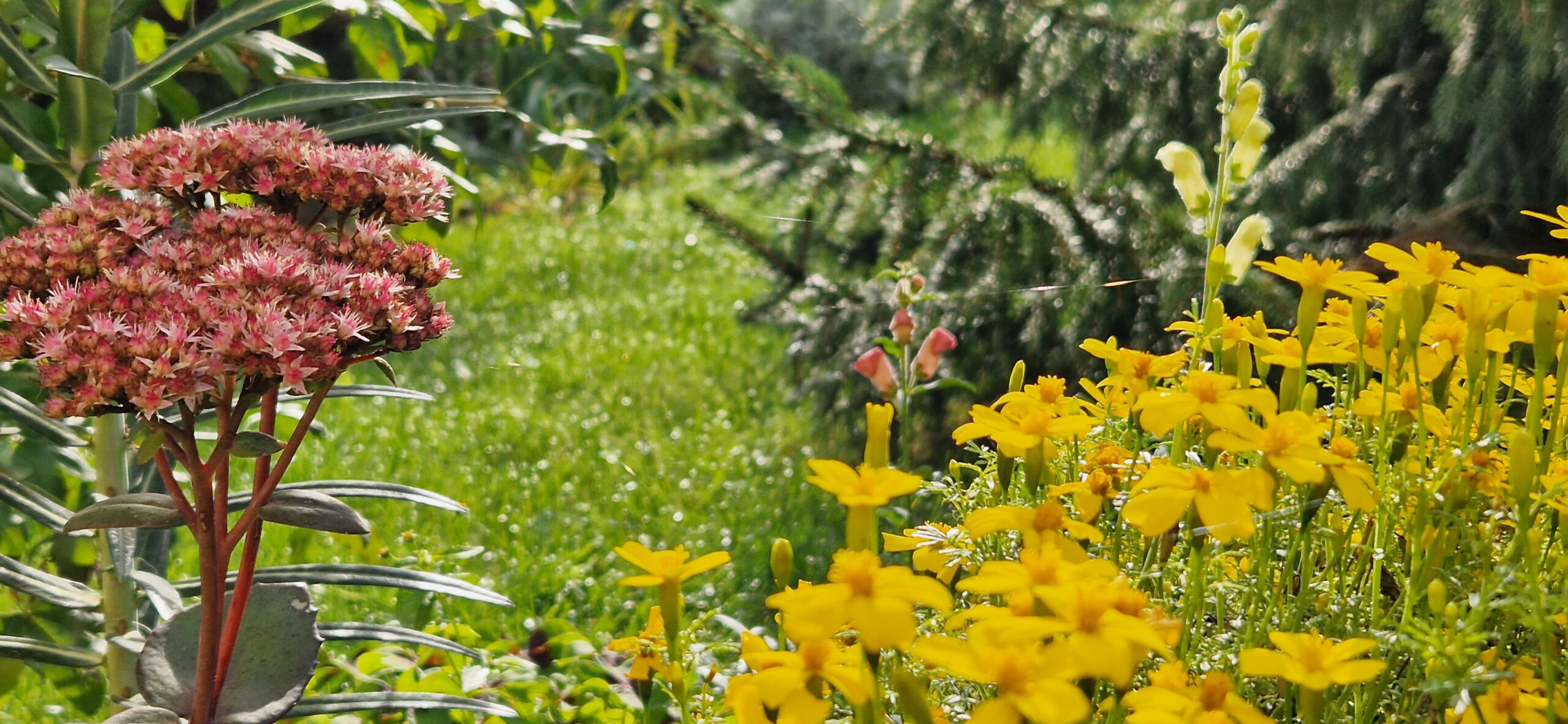 Październik w ogrodzie